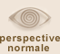 perspective normal